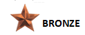 Bronze Star logo