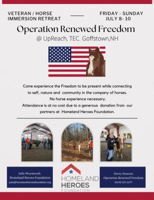 Operation Renewed Freedom